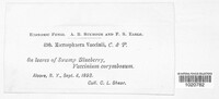 Image Associated With the Occurence